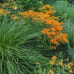 Démystifier le compagnonnage: Erreurs courantes et pratiques efficaces