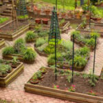 Top 5 des logiciels de design potager