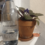 Arroser une plante d’intérieur en pot avec de l’eau gazeuse, c’est grave docteur ?