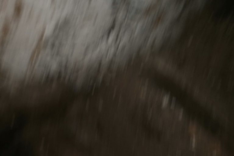 debroussaillage-et-hydrologie-regenerative-faut-il