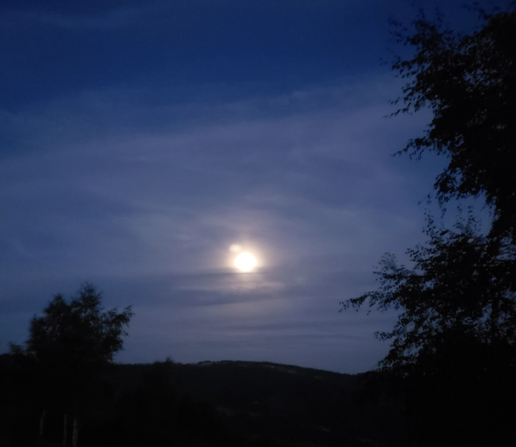 explorer-la-biodiversite-nocturne-un-guide-pour-su