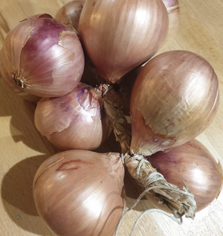 oignon-rose-de-roscoff-keravel