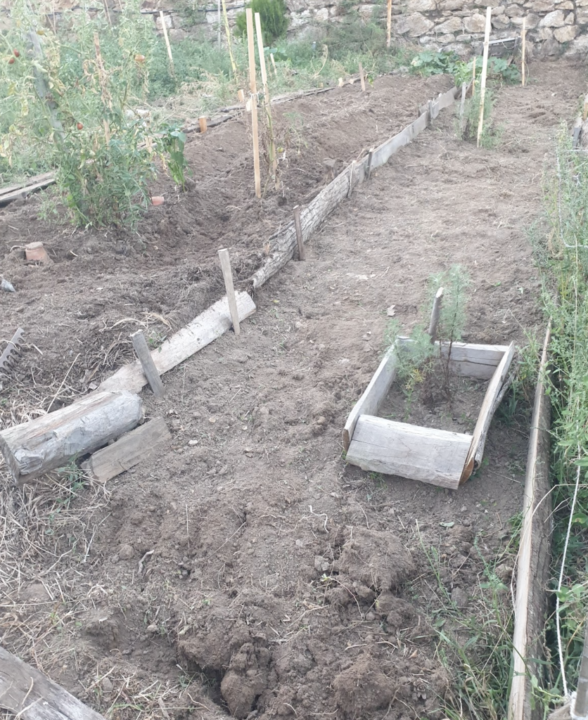 ou-placer-le-potager-annuel-dans-un-jardin-foret