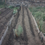 Préparer la prochaine saison : Trois plans de cultures efficaces