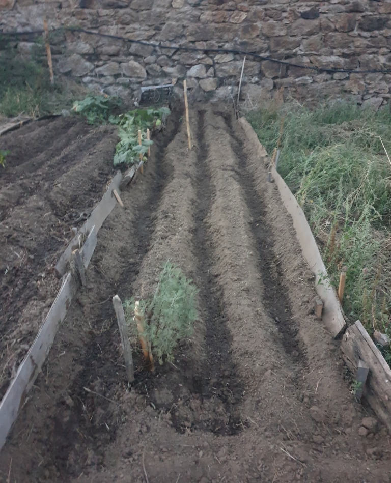 preparer-la-prochaine-saison-trois-plans-de-cultur