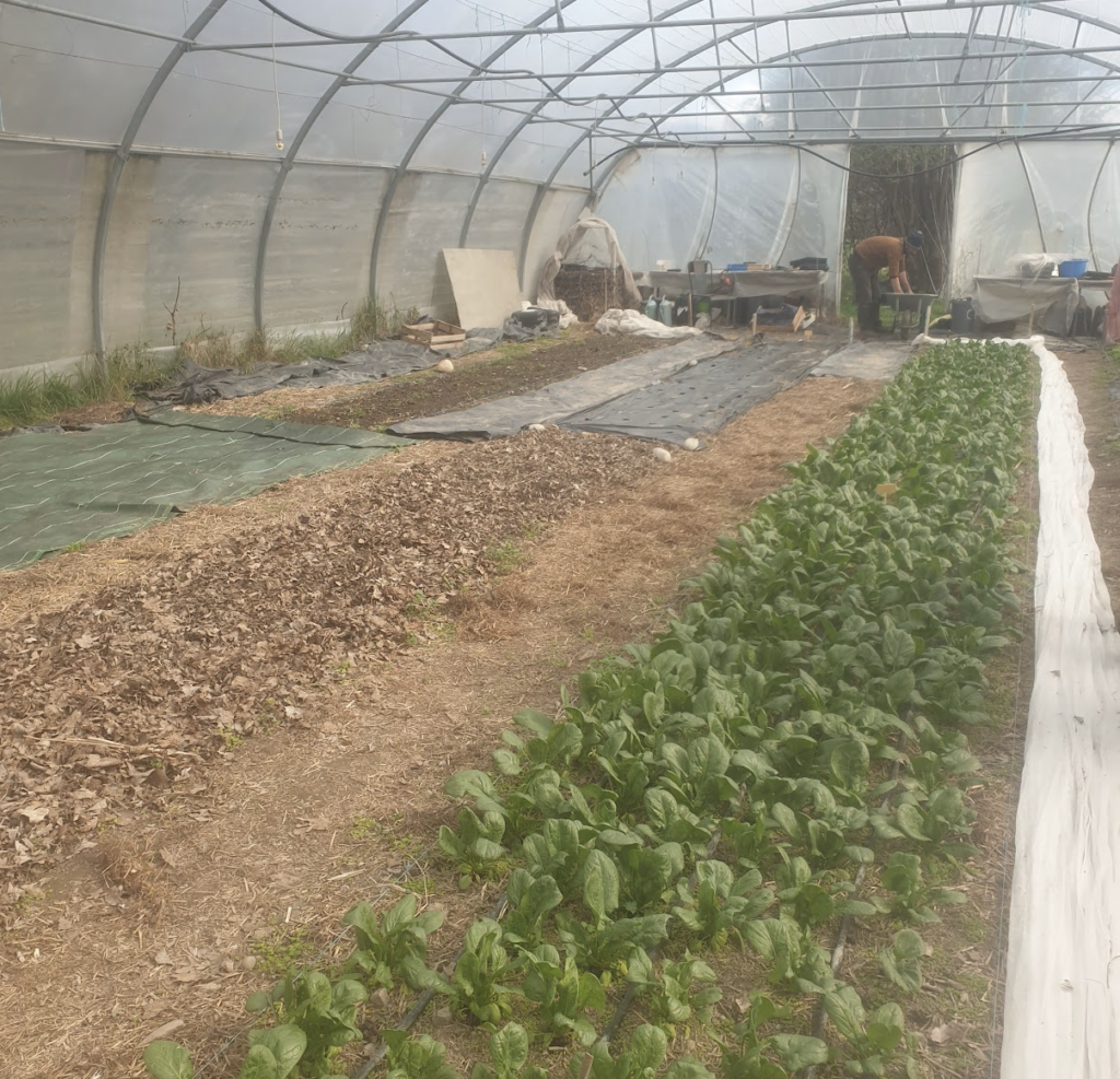 quelle-est-la-meilleure-maniere-de-delimiter-des-p