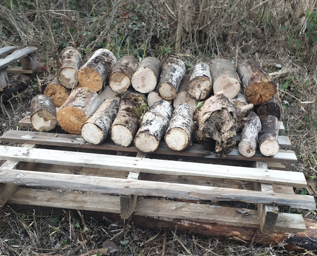 quelles-erreurs-a-eviter-pour-stocker-son-bois