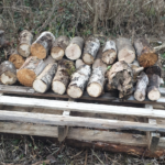 Quelles erreurs à éviter pour stocker son bois ?