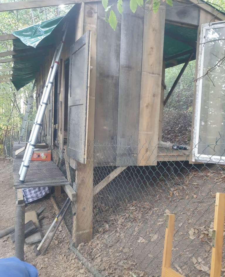 solutions-pour-proteger-son-poulailler