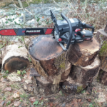 Test de la tronçonneuse PARKSIDE PERFORMANCE PPBKS 56 B2