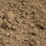 Rôle de la potasse au potager