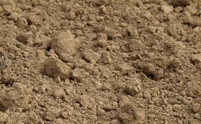 La potasse, un des éléments essentiels du sol