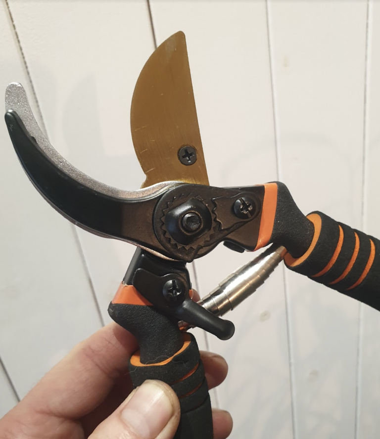 avec-quoi-nettoyer-son-secateur