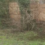 Comment créer un endroit frais sur un terrain plat pour conserver ses légumes ?