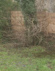 Comment créer un endroit frais sur un terrain plat pour conserver ses légumes ?