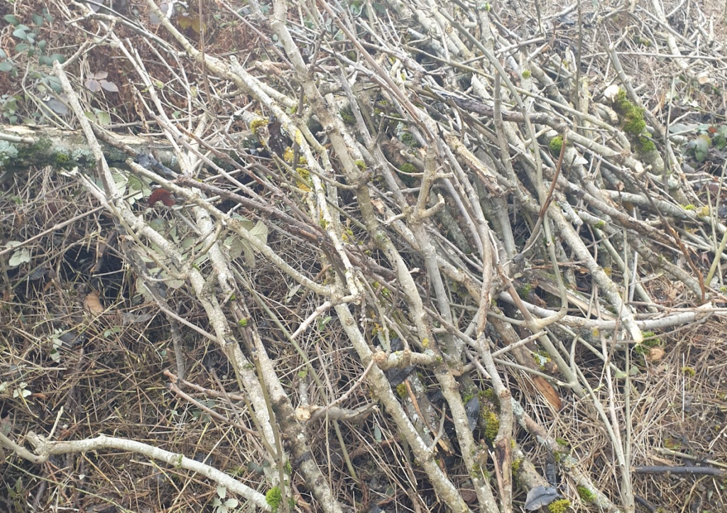 comment-faire-des-abris-a-herisson