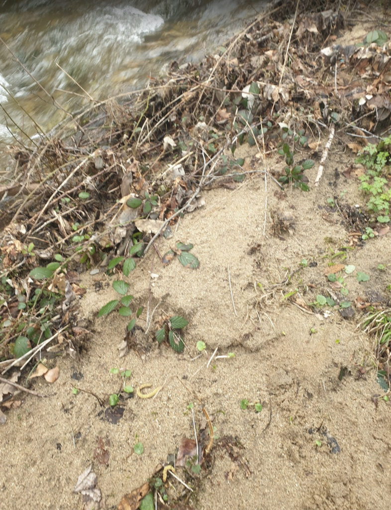 dans-quelle-mesure-a-t-on-le-droit-de-ramasser-le-