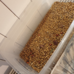 Faire germer des graines dans l’eau au-dessus d’un chauffage ça fait germer plus vite ?