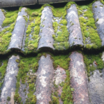 Faut-il forcément enlever la mousse d’un toit en tuile ?