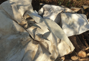 Geotextile au potager bien ou pas bien ?