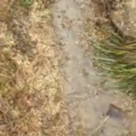 Hydrologie régénérative : c’est vraiment beaucoup de travail de faire des swales et des baissières, quelles autres méthodes moins couteuse en énergie ?