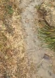 Hydrologie régénérative : c’est vraiment beaucoup de travail de faire des swales et des baissières, quelles autres méthodes moins couteuse en énergie ?