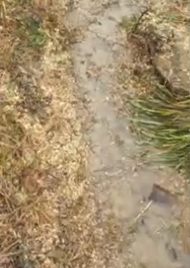 hydrologie-regenerative-c-8217-est-vraiment-beauco