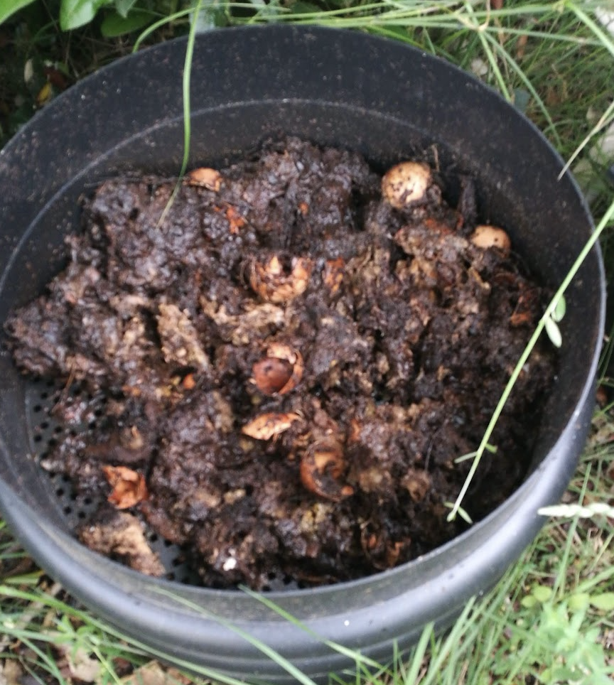 le-compost-frais-du-lombricompost-peut-il-causer-u