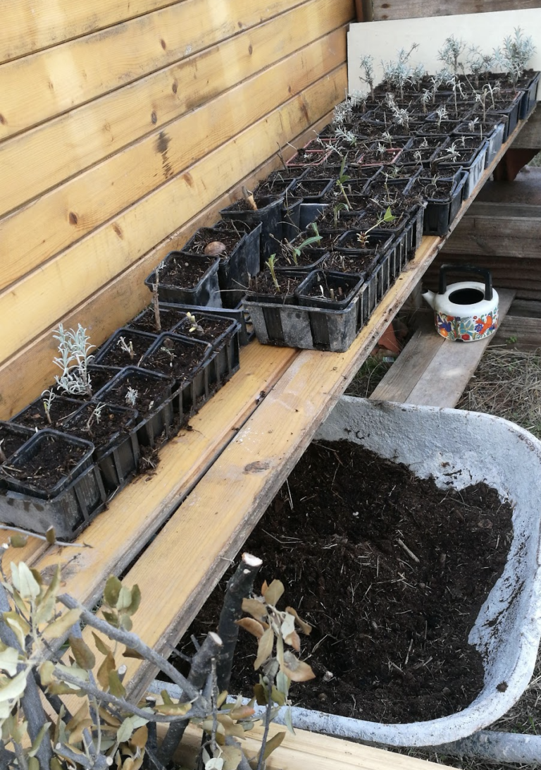 les-cultures-du-mois-de-fevrier-plan-de-culture-b