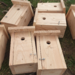 Nichoirs à oiseaux : efficacité prouvée ?