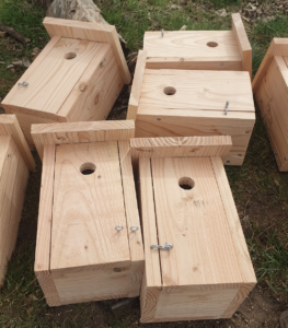 Nichoirs à oiseaux : efficacité prouvée ?