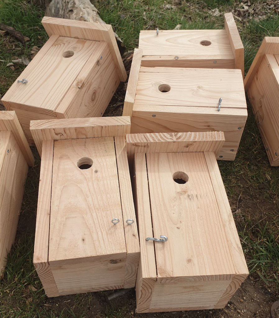 nichoirs-a-oiseaux-efficacite-prouvee