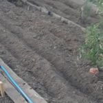 Plan de culture B : planification