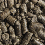 Quel est le top 10 des végétaux riches en protéines pour les poules ?