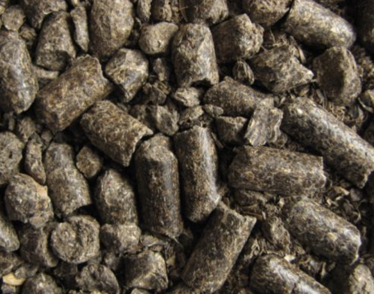 quel-est-le-top-10-des-vegetaux-riches-en-proteine