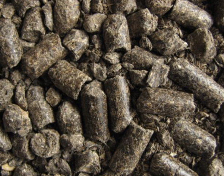 quel-est-le-top-10-des-vegetaux-riches-en-proteine