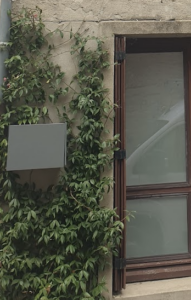 Quelle plante qui fait des fleurs demandant peu d’eau pour un mur chaud en plein soleil ?