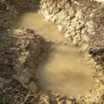 Bassin argile : comparer le coût carbone entre un bassin préformé ou mare en argile 1/2