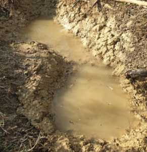 Bassin argile : comparer le coût carbone entre un bassin préformé ou mare en argile 1/2