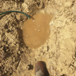 Bassin argile : comment se comporte l’argile dans une mare 2/2