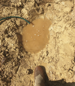 Bassin argile : comment se comporte l’argile dans une mare 2/2