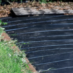 Je choisis à contrecoeur de la toile de paillage tissée pour mon carré de fraisiers à cause des ronces et du lierre (1/2)