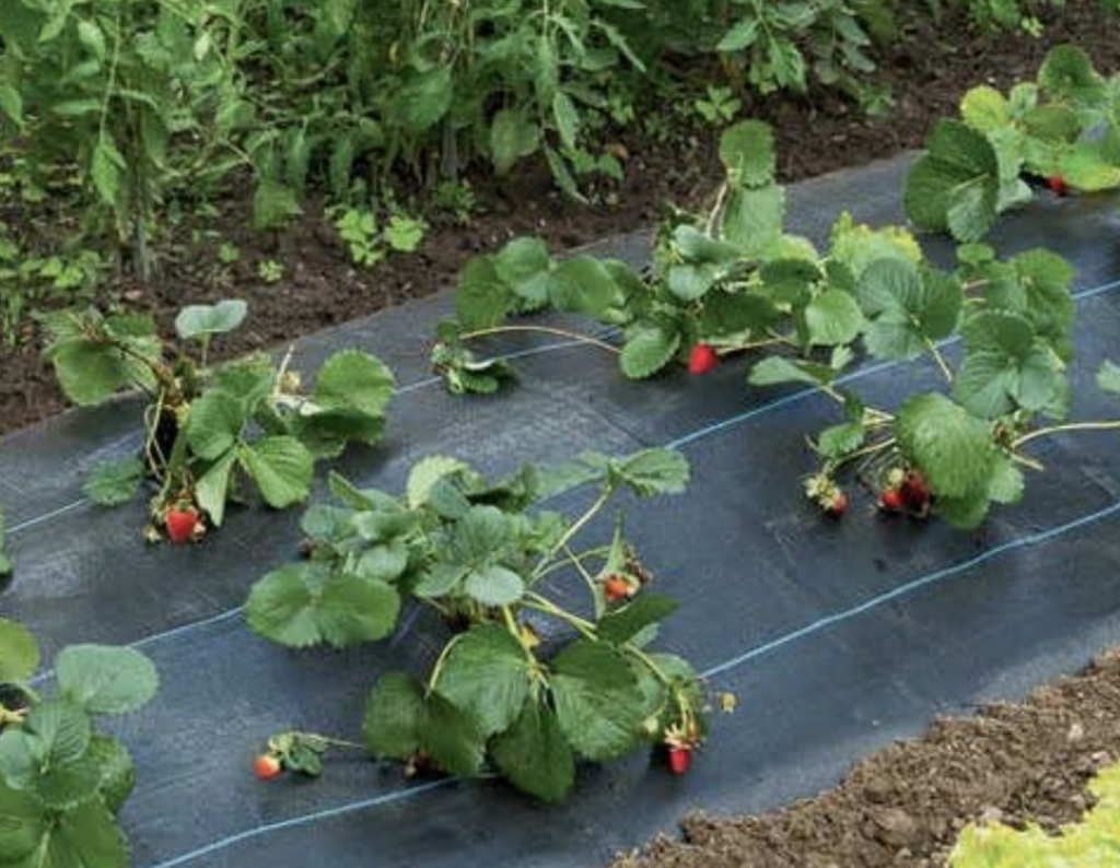 mise-en-place-du-carre-avec-la-toile-tissee-de-pai