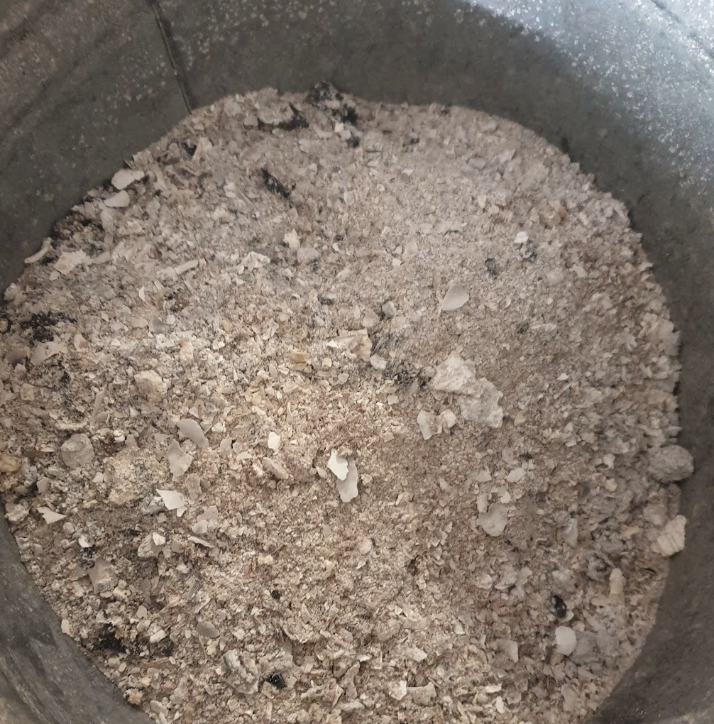 ou-repartir-la-cendre-de-bois-au-potager