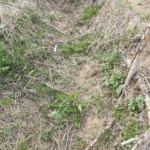 Baissière ou simple fossé au bord de la route ?