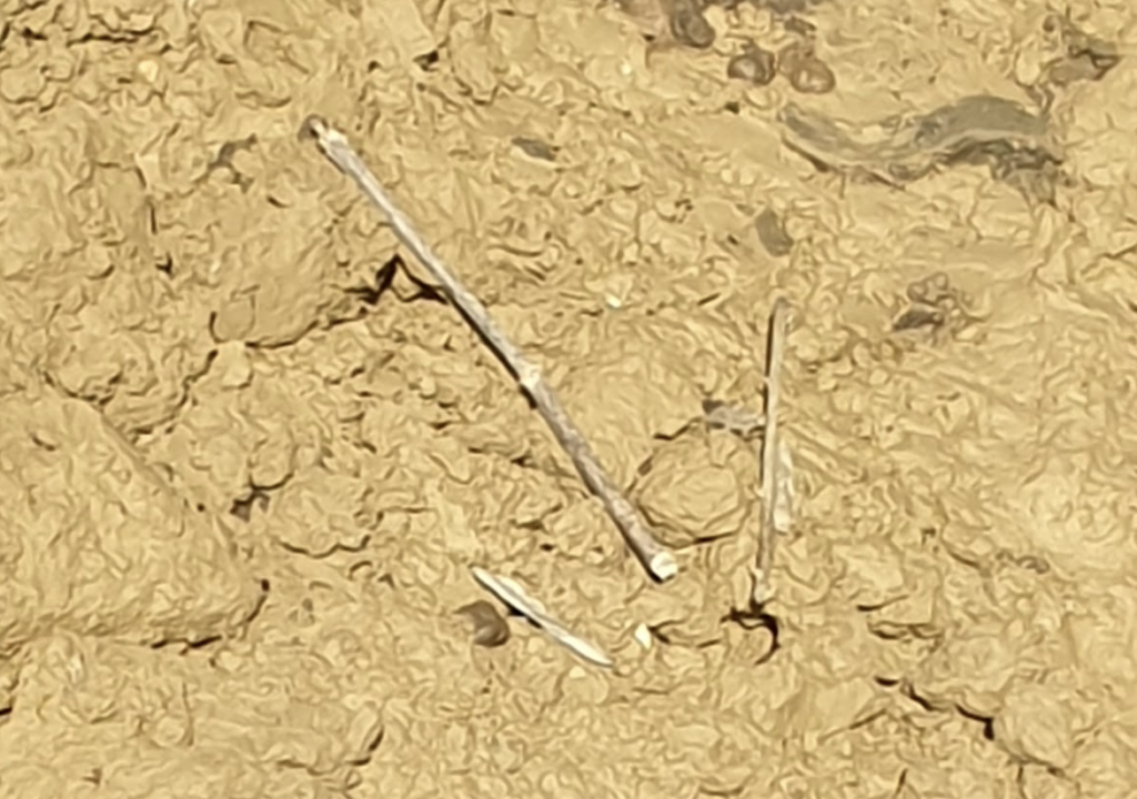 hydrologie-regenerative-comment-ralentir-la-denutr