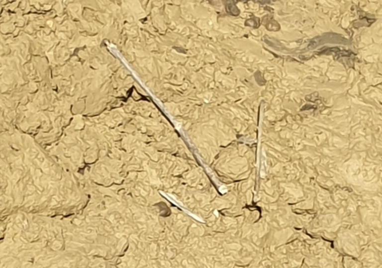 hydrologie-regenerative-comment-ralentir-la-denutr