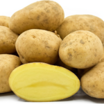 Bintje, Solanum tuberosum L.