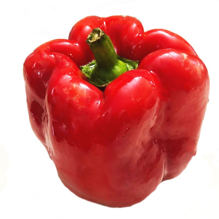 California Wonder Pepper, Capsicum annuum L.