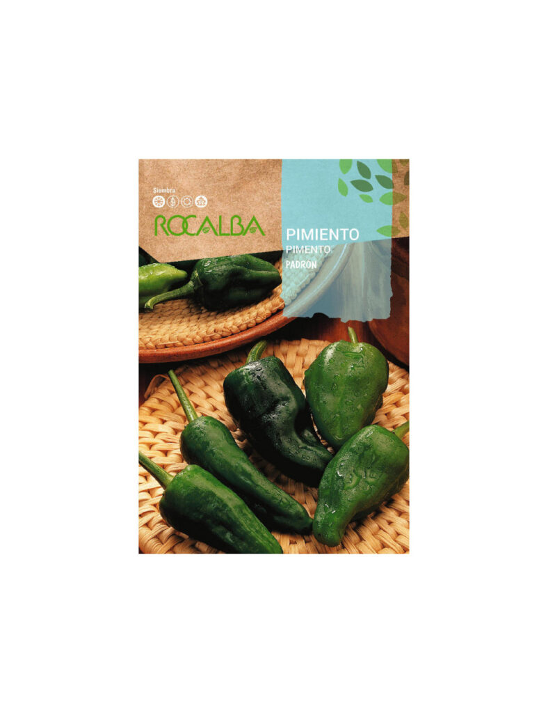 Padron, Capsicum annuum L.
